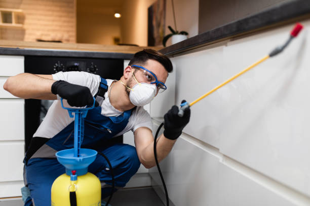 Best Affordable Pest Control Services  in Alexandria, LA