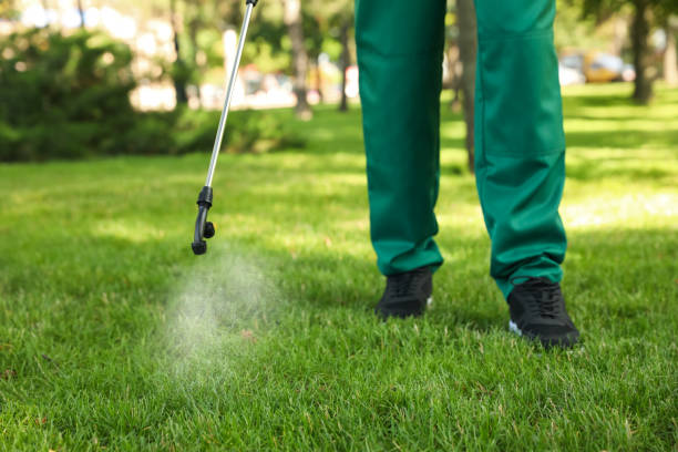 Best Bed Bug Extermination  in Alexandria, LA