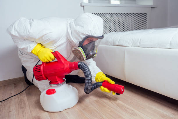 Best Affordable Pest Control Services  in Alexandria, LA