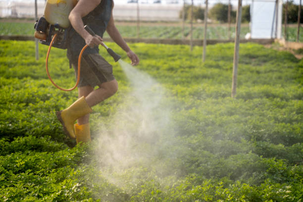 Best Pest Control Near Me in Alexandria, LA