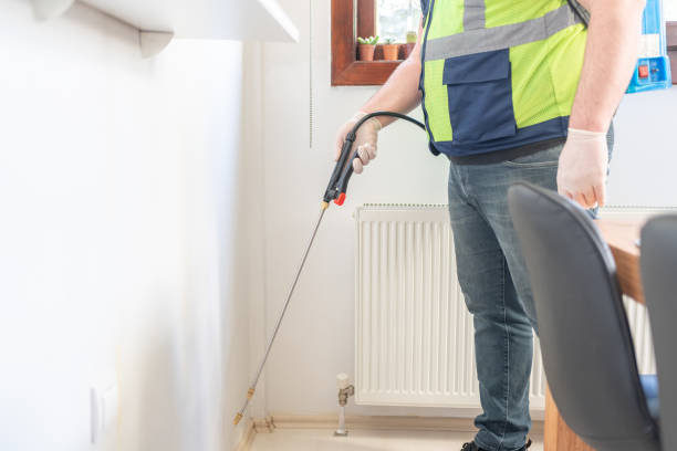 Best Flea Control Services  in Alexandria, LA
