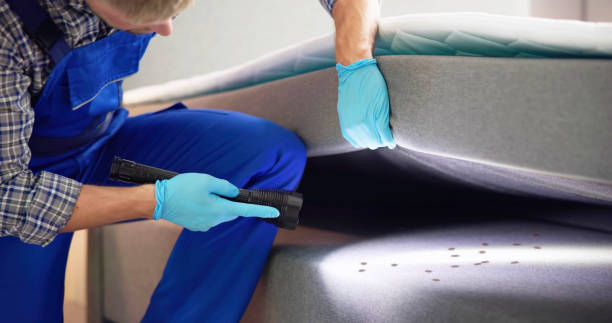 Best Flea Control Services  in Alexandria, LA