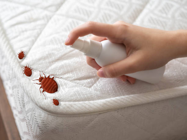 Best Best Pest Control Companies  in Alexandria, LA
