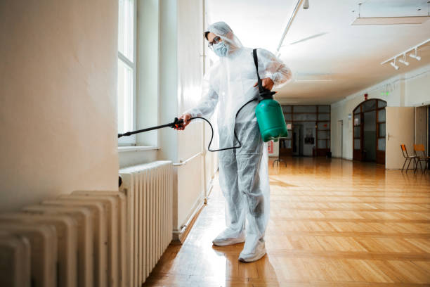Reliable Alexandria, LA Pest Control Solutions