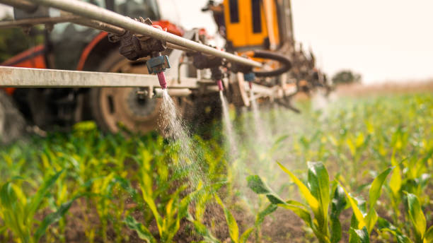 Pest Control Cost in Alexandria, LA